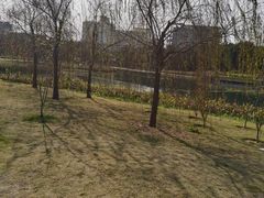 -南宁南湖公园