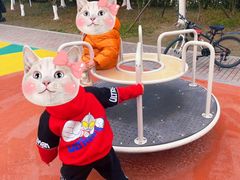 -映月湖中央公园