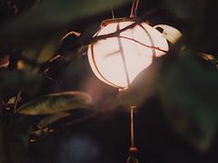 景观位-Lam Vien Restaurant