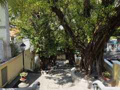 -龙环葡韵住宅式博物馆