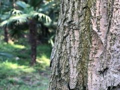 -蜀冈西峰生态公园