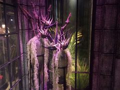 -范设计花园餐酒咖·中西餐·咖啡厅·酒馆