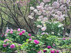 -江南大学(蠡湖校区)