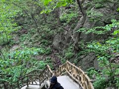 -洛阳白云山景区