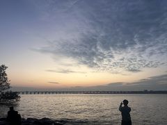 -宝安西湾红树林湿地公园