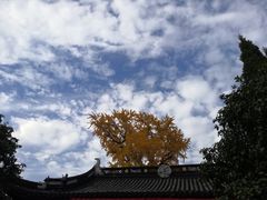 -金泽古镇