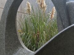 -中国湿地博物馆