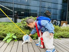 -硅谷蒙学幼儿园