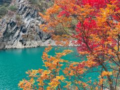 -叠溪松坪沟景区