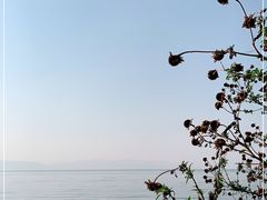 -抚仙湖禄充风景区