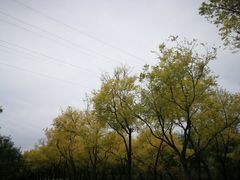 -永定河休闲森林公园