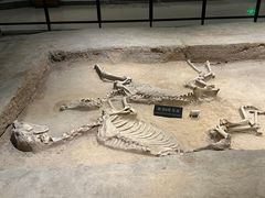 -洛阳周王城天子驾六博物馆