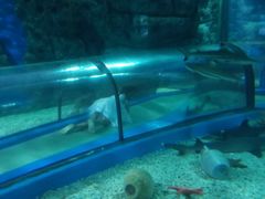 -福州罗源湾海洋世界旅游区