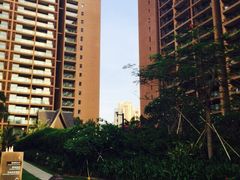 三亚湾红树林度假世界-三亚湾红树林度假世界(木棉酒店)