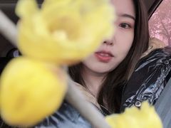 -三圣花乡旅游区