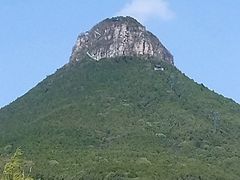 -抱犊崮国家森林公园