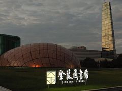 -金陵图书馆