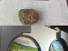 -中国西峡恐龙遗迹园
