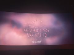 -金逸影城(宝安大仟里IMAX激光店)