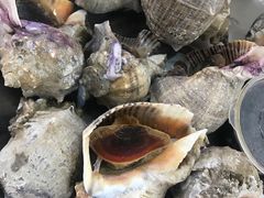 -四海蒸鲜蒸汽海鲜自助(北戴河店)