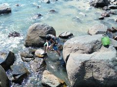 -阿弟特色海鲜餐厅·大排档(平潭店)