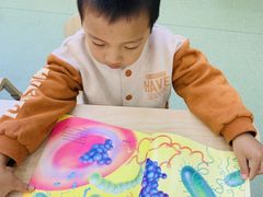 -美加国际幼儿园(四季青校区)