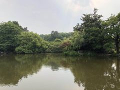 -西湖外事游船(花港观鱼码头)