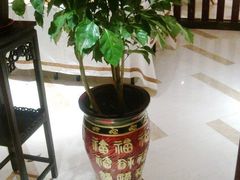 -豫满楼(郑东新区店)