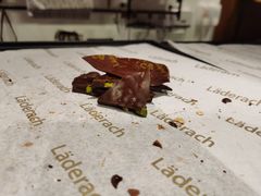 黑巧开心果-Laderach 莱德拉(上海环贸iapm店)