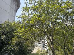 -浙江宾馆·花园餐厅·自助餐厅·茶吧