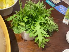 -东海怡品海鲜豆捞(舟宿夜江店)