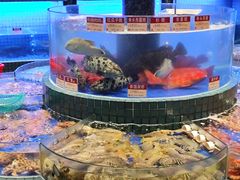 -金悦轩海鲜酒家(拱北店)