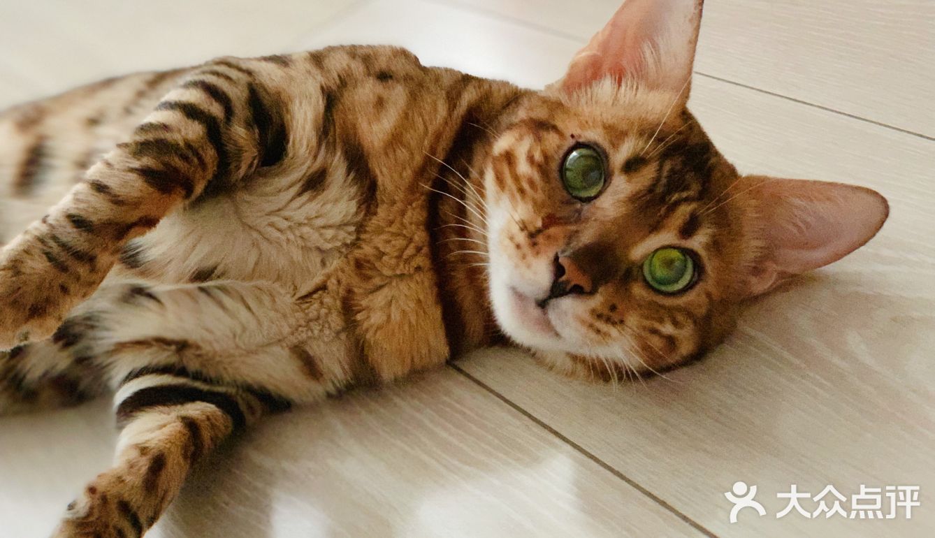 🧚🏻‍♀️ 小可可的日常  # 有趣的不是生活本身，而是你自己 #