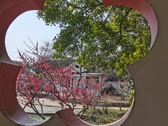 -无锡梅园公园