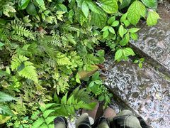 -华蓥山天意谷景区