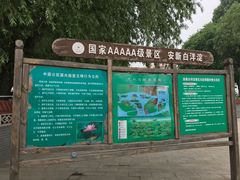 -白洋淀景区
