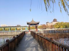 -莲花池公园