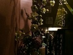 -华夏良子·足道SPA艾灸(王府井店)