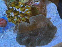 -上海海洋水族馆