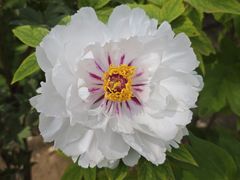 -太阳宫公园