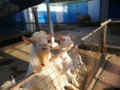 -白塘生态植物园