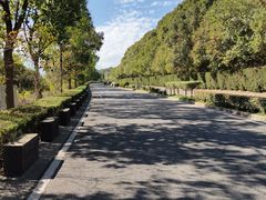 -平湖九龙山旅游度假区