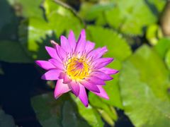 -三亚南山文化旅游区