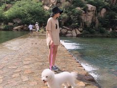 -爱宠屋pet shop·宠物洗澡·宠物美容