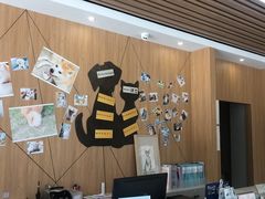 -爱妮康宠物医院·干细胞免疫细胞·肿瘤·心脏(张江店)