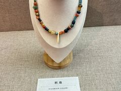 -巴音郭楞蒙古自治州博物馆