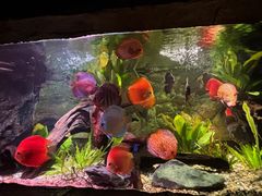 -上海海洋水族馆