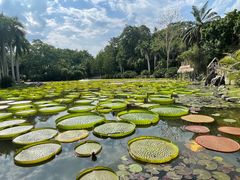 -中国科学院西双版纳热带植物园