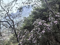 -萍乡武功山风景名胜区