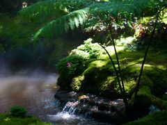 -Chom Cafe and Restaurant